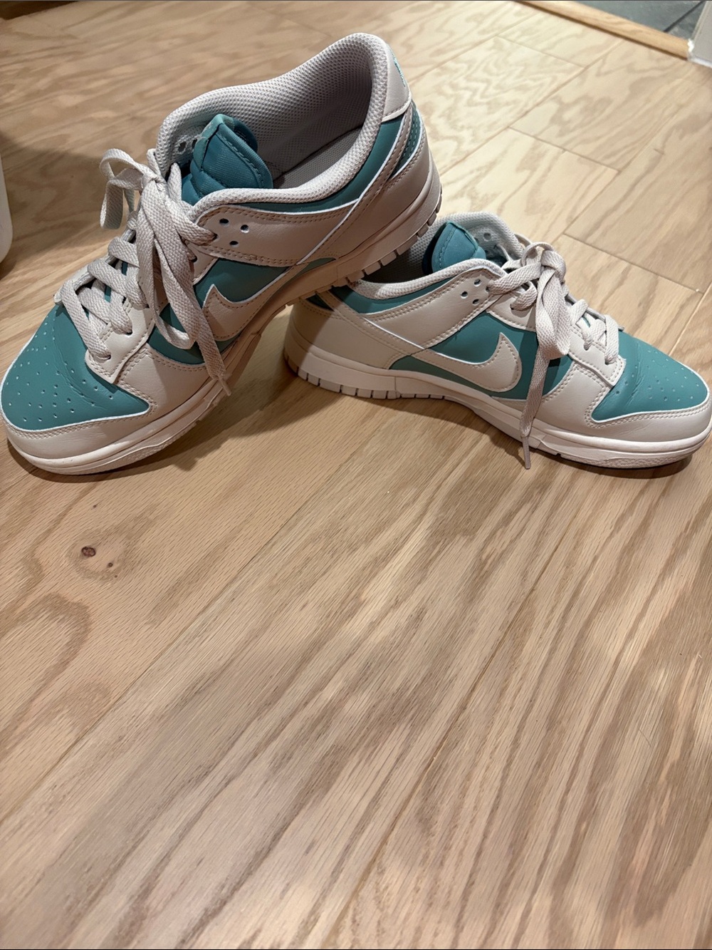 Nike Dunk Low- top Sneakers in Teal and White